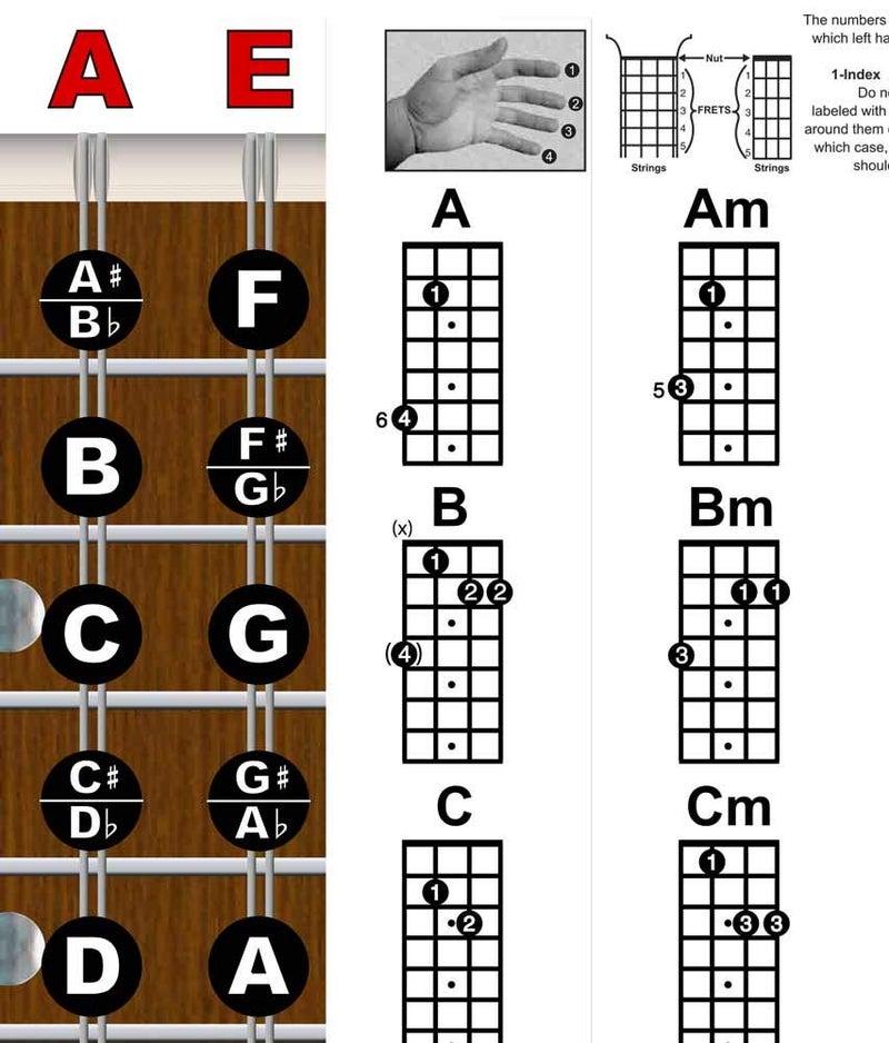 A New Song Music Laminated Mandolin Fretboard Notes & Easy Beginner Chord Chart 11"x17" Instructional Poster by A New Song Music - Image 5